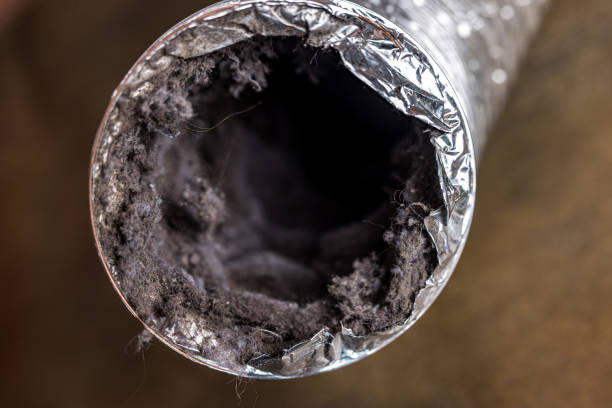 Best Professional Duct Cleaning Services  in Clover Creek, WA