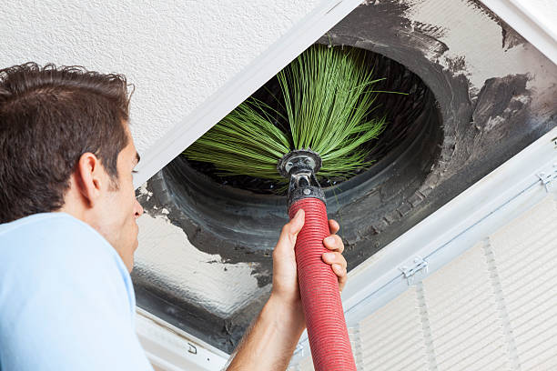 Best Dryer Vent Cleaning Services  in Clover Creek, WA